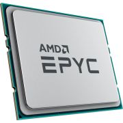 AMD 100-000000053