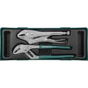 P2710SP Набор клещи переставные с трубным захватом и ручные тиски «струбцина» в ложементе, 2 предмета